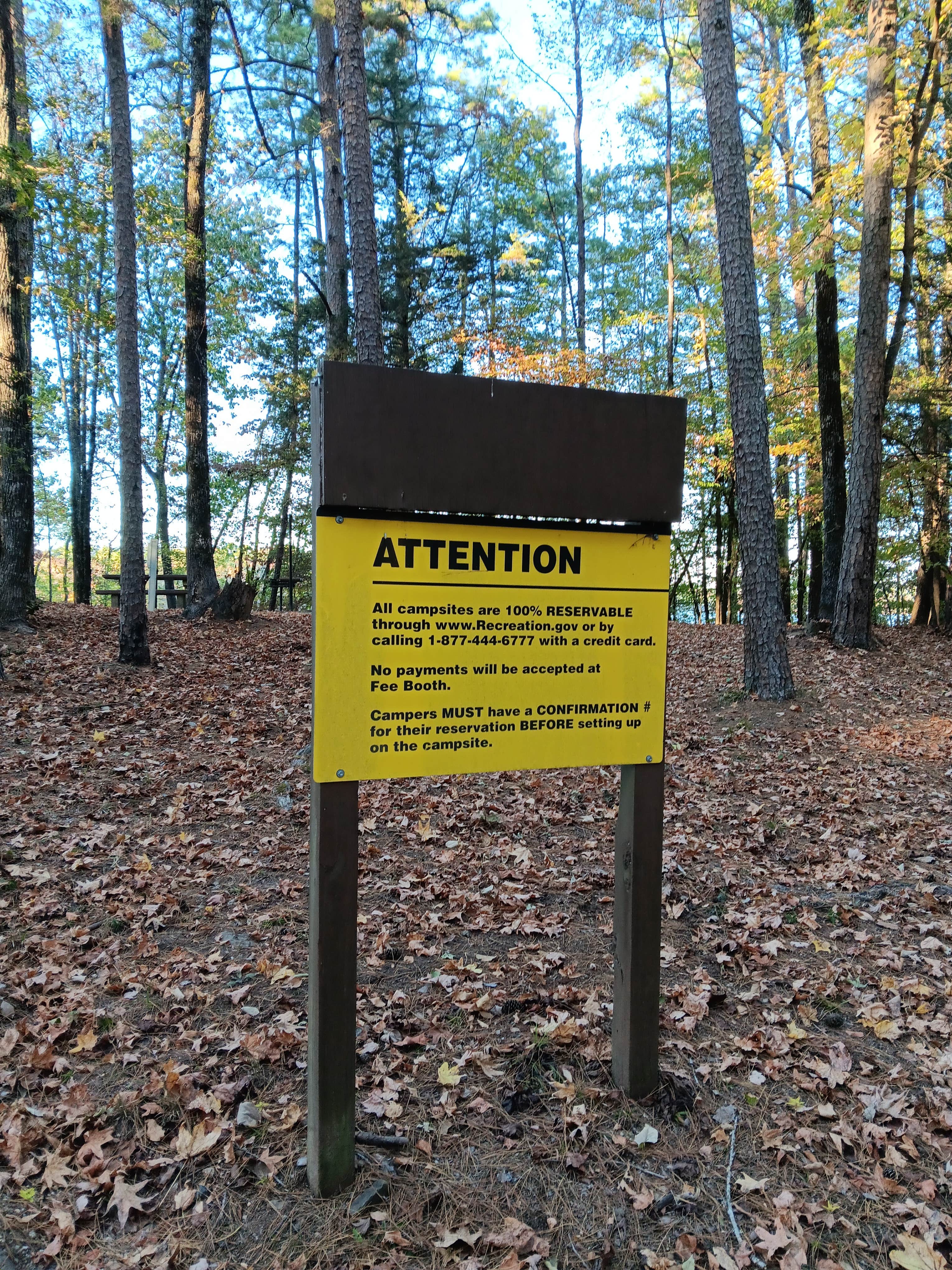 Camper submitted image from COE Lake Greeson Self Creek Jim Wylie Recreation Area and Campground - 4