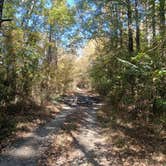 Review photo of COE Lake Greeson Self Creek Jim Wylie Recreation Area and Campground by Twyana S., October 20, 2024