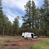 Review photo of Jo Bangles Dispersed Campsite Kaibab NF by Jodie R., August 9, 2026