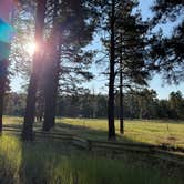 Review photo of Jo Bangles Dispersed Campsite Kaibab NF by Jodie R., August 9, 2026