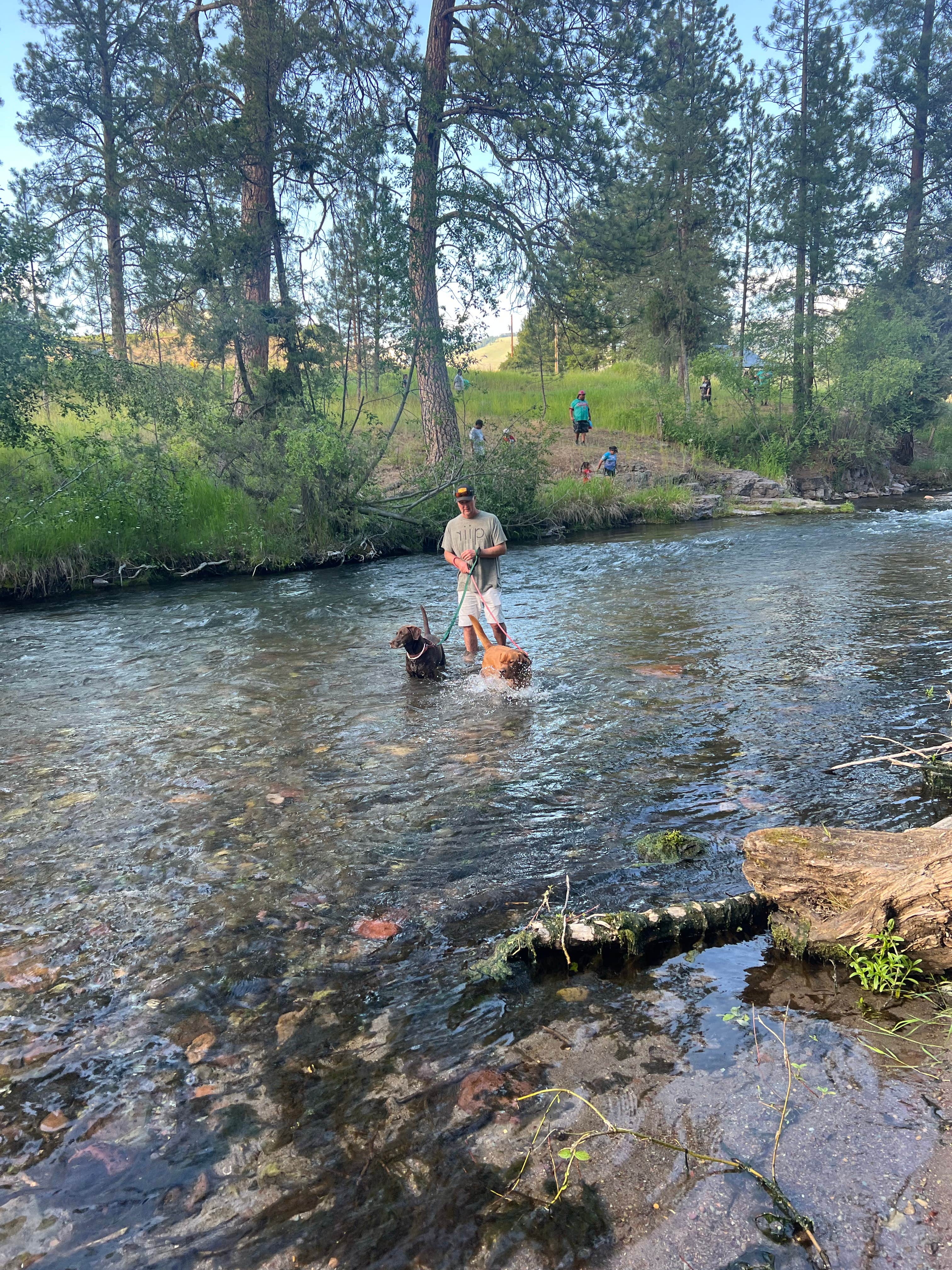 Camper submitted image from Jocko Hollow Campground - 5