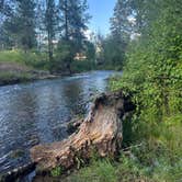 Review photo of Jocko Hollow Campground by Stephanie G., July 8, 2024