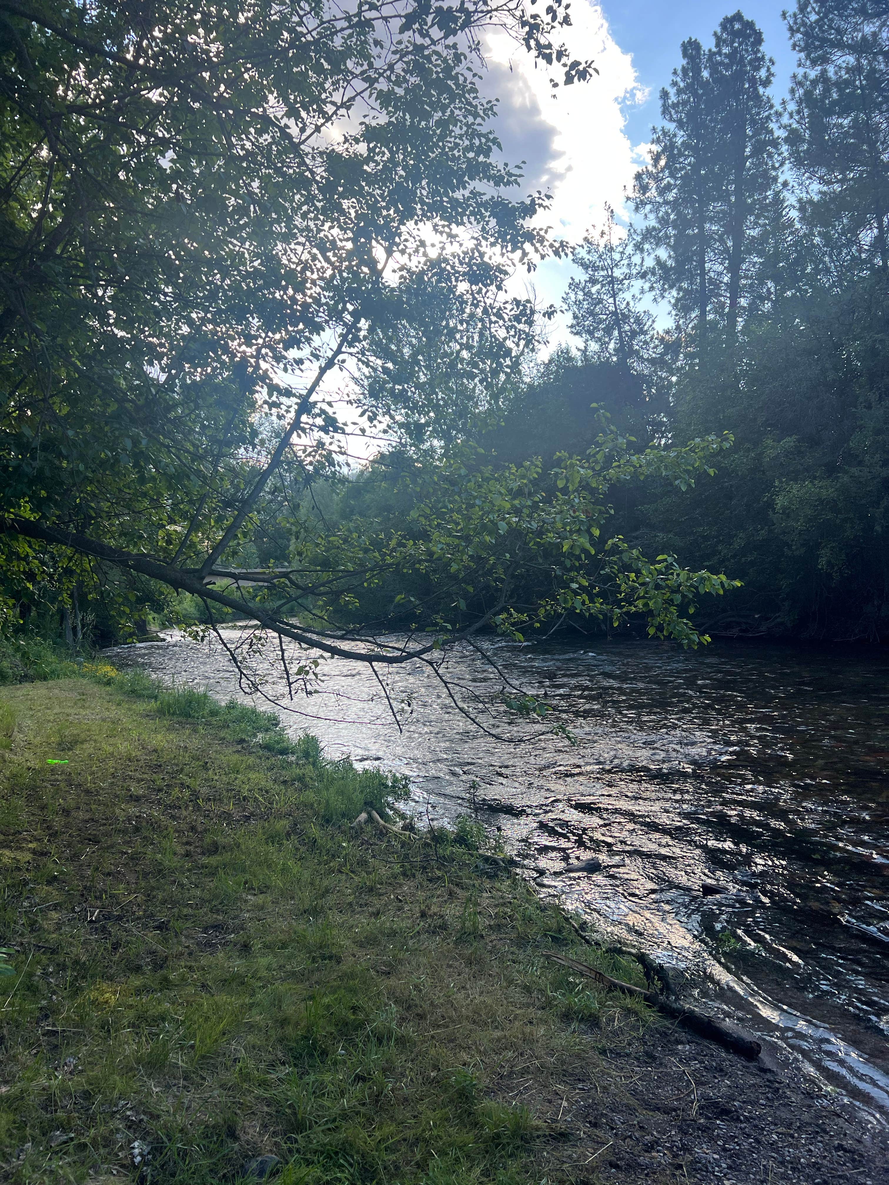Camper-submitted photo at Jocko Hollow Campground near Frenchtown, MT