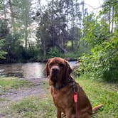 Review photo of Jocko Hollow Campground by Stephanie G., July 8, 2024