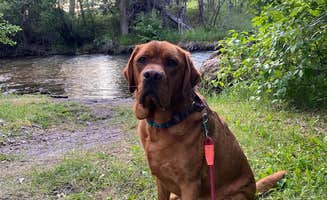 Stephanie G.'s photo of camping with pets at Jocko Hollow Campground near Seeley Lake, MT