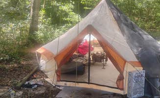 c F.'s photo of a dispersed camping area at Joe kurz WMA Campground near Sargent, GA