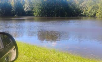 c F.'s photo of a dispersed camping area at Joe kurz WMA Campground near West Point Lake