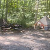 Review photo of Joe kurz WMA campground by c F., December 21, 2024