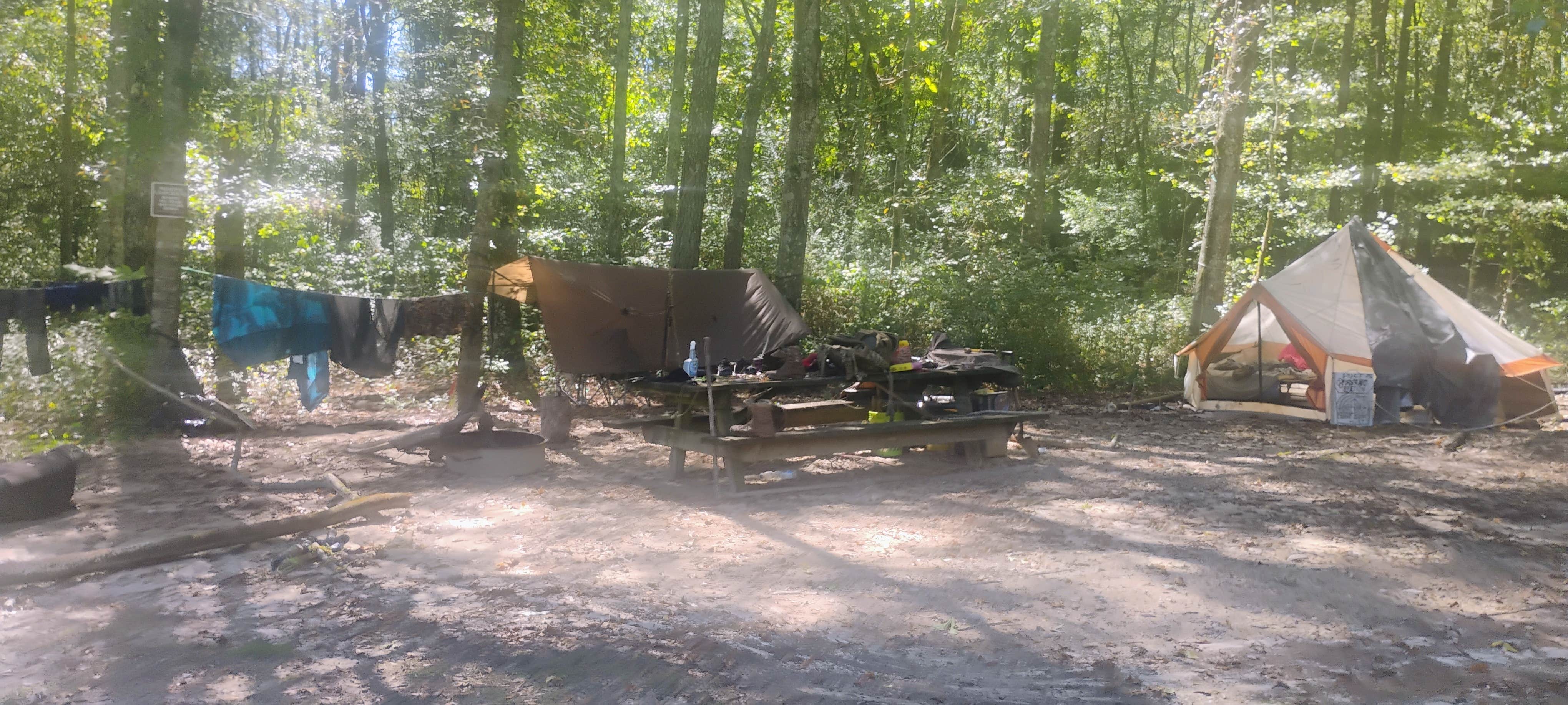 Camper submitted image from Joe kurz WMA campground - 1