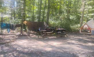 c F.'s photo at Joe kurz WMA Campground near Newnan, GA