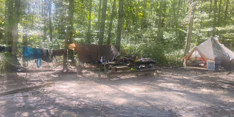 Camper submitted image from Joe kurz WMA Campground