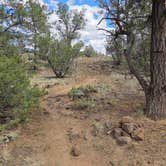 Review photo of Joe Skeen Campground - El Malpais NCA by Lynn , June 30, 2026