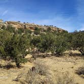 Review photo of Joe Skeen Campground - El Malpais NCA by Randall B., April 22, 2026