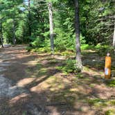 Review photo of JoeIda Campground by Roger W., October 7, 2023