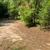 Review photo of JoeIda Campground by Roger W., October 7, 2023