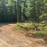 Review photo of JoeIda Campground by Roger W., October 7, 2023