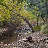 Review photo of John Hand Campground by Christie S., December 12, 2025
