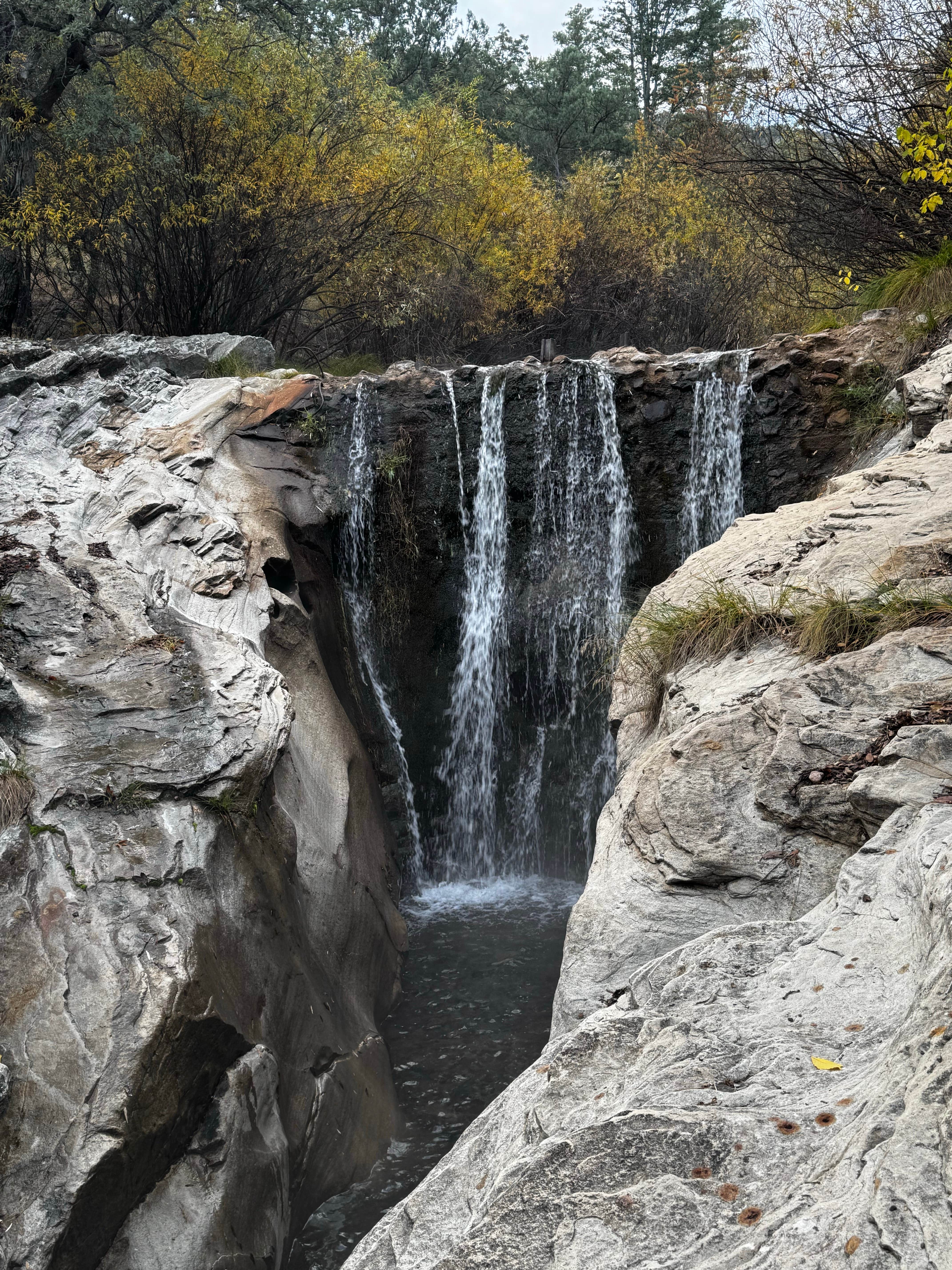 Camper-submitted photo at John Hand Campground near Animas, NM