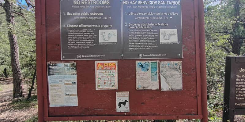 Camper submitted image from John Hand Campground