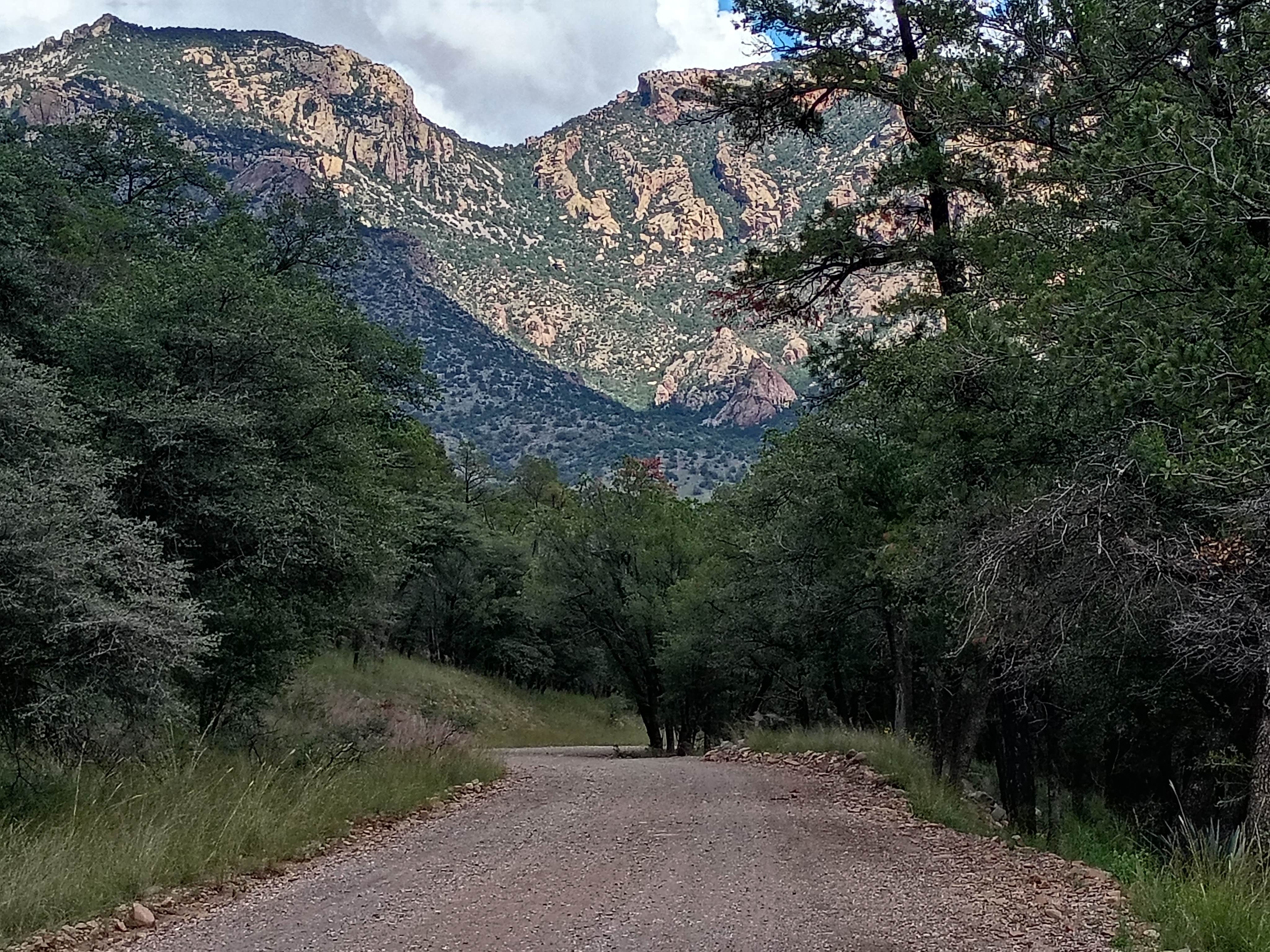 Camper-submitted photo at John Hand Campground near Rodeo, NM