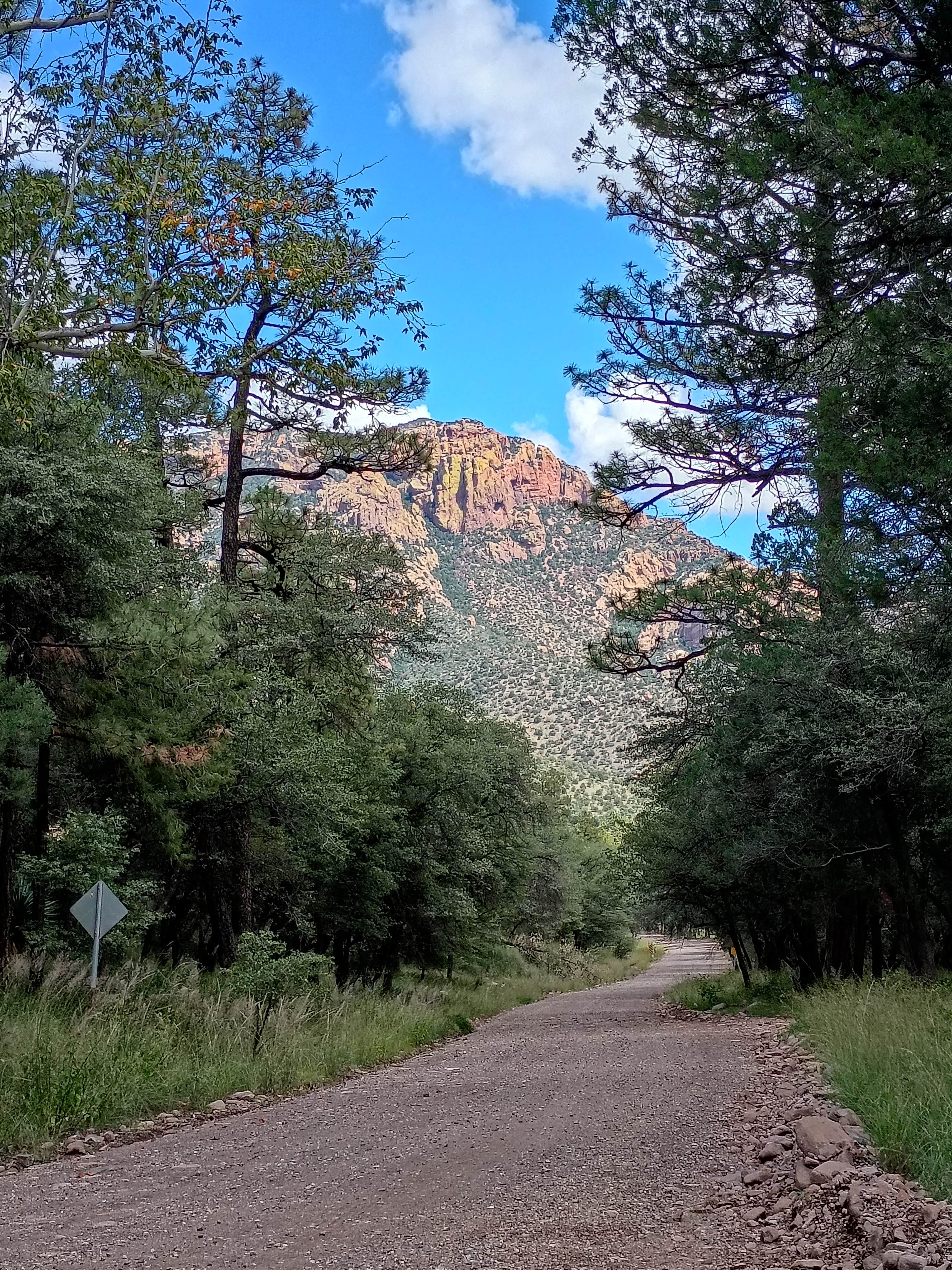 Camper-submitted photo at John Hand Campground near Rodeo, NM