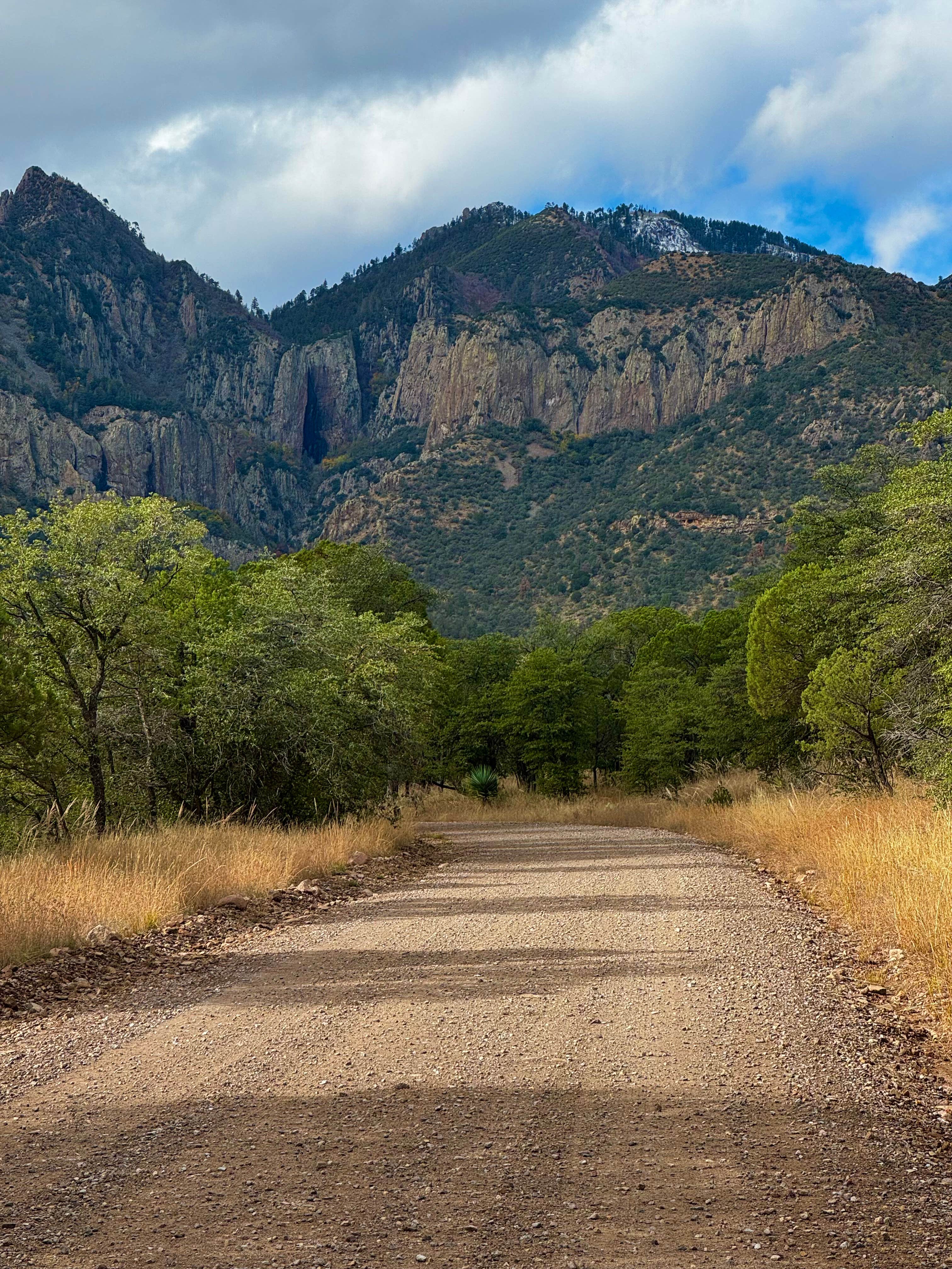 Christie S.'s photo of a dispersed camping area at John Hand Campground near Animas, NM