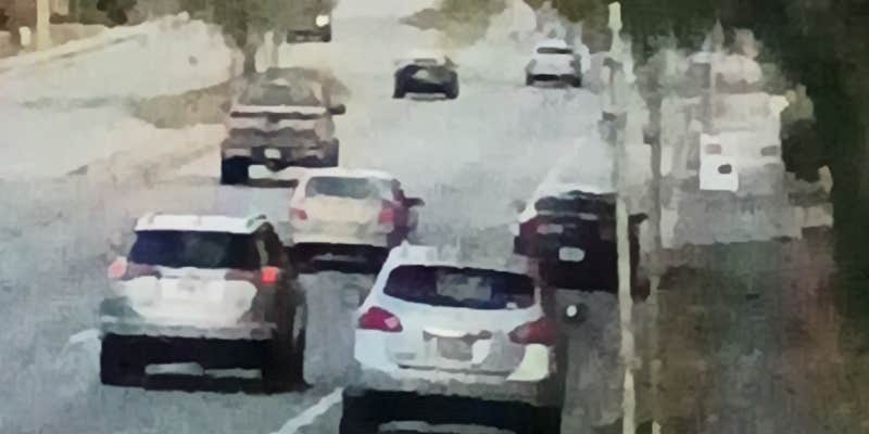 Camper submitted image from John mahon nature park