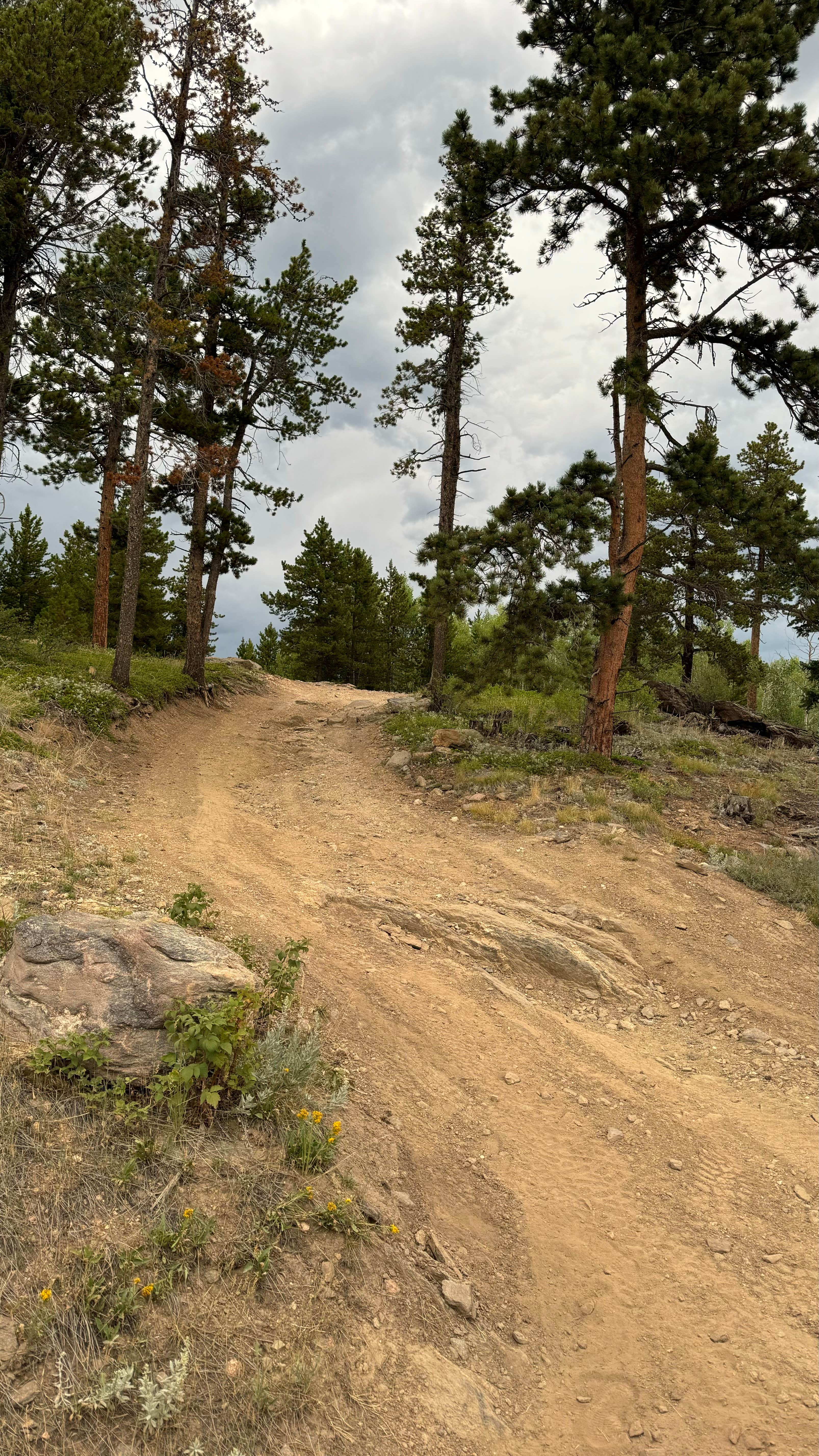Camper-submitted photo at Johnny Park Road Camping near Estes Park, CO