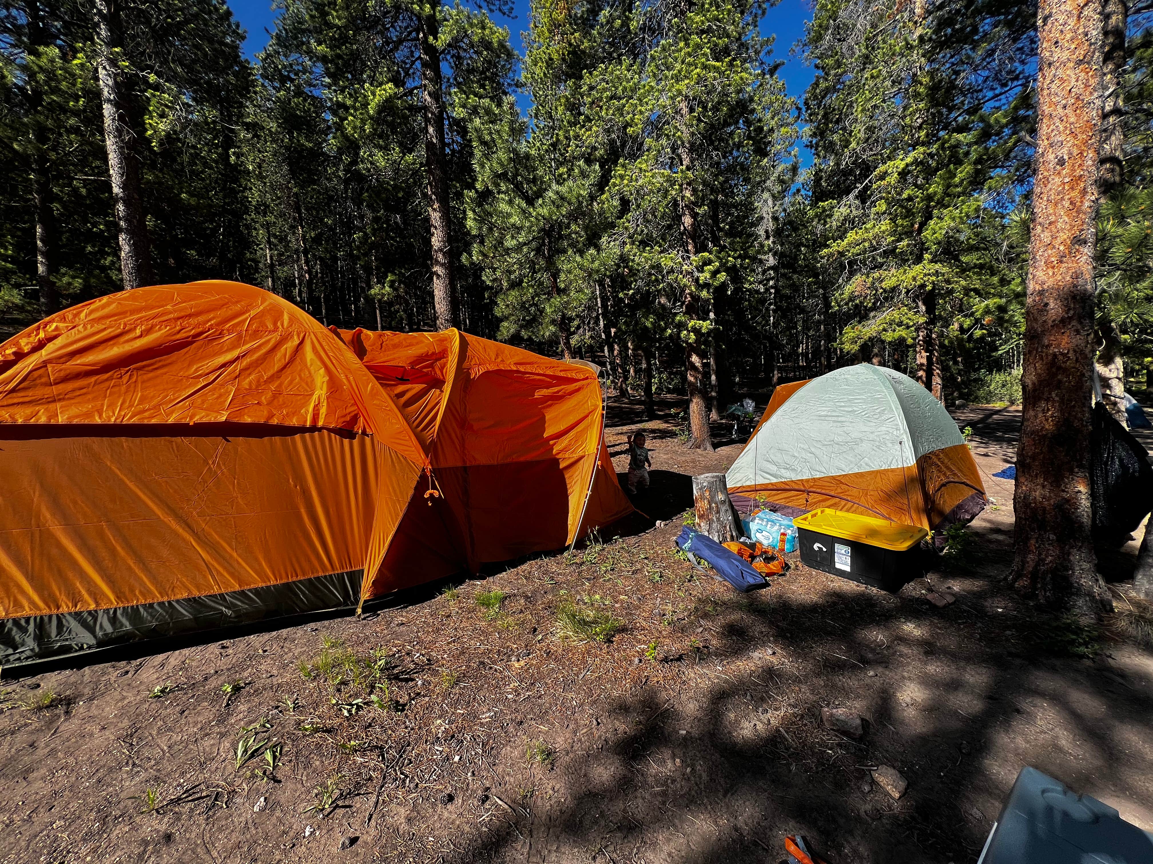 Christine R.'s photo at Johnny Park Road Camping near Pinewood Springs, CO