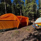 Review photo of Johnny Park Road Camping by Christine R., June 20, 2026