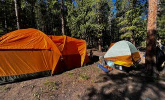 Christine R.'s photo at Johnny Park Road Camping near Allenspark, CO