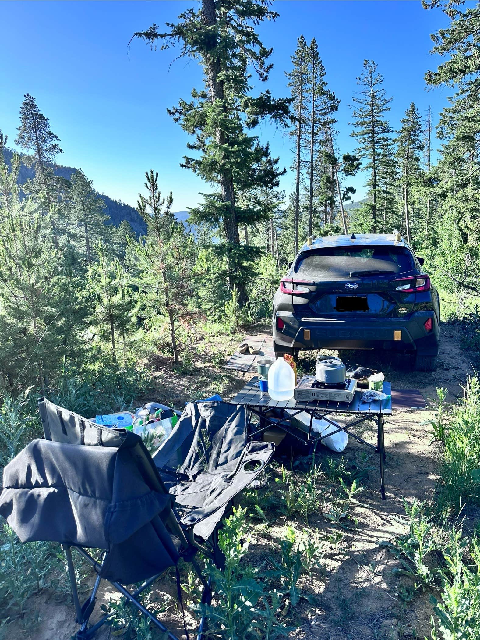 Camper-submitted photo at Johnny Park Road Camping near Estes Park, CO