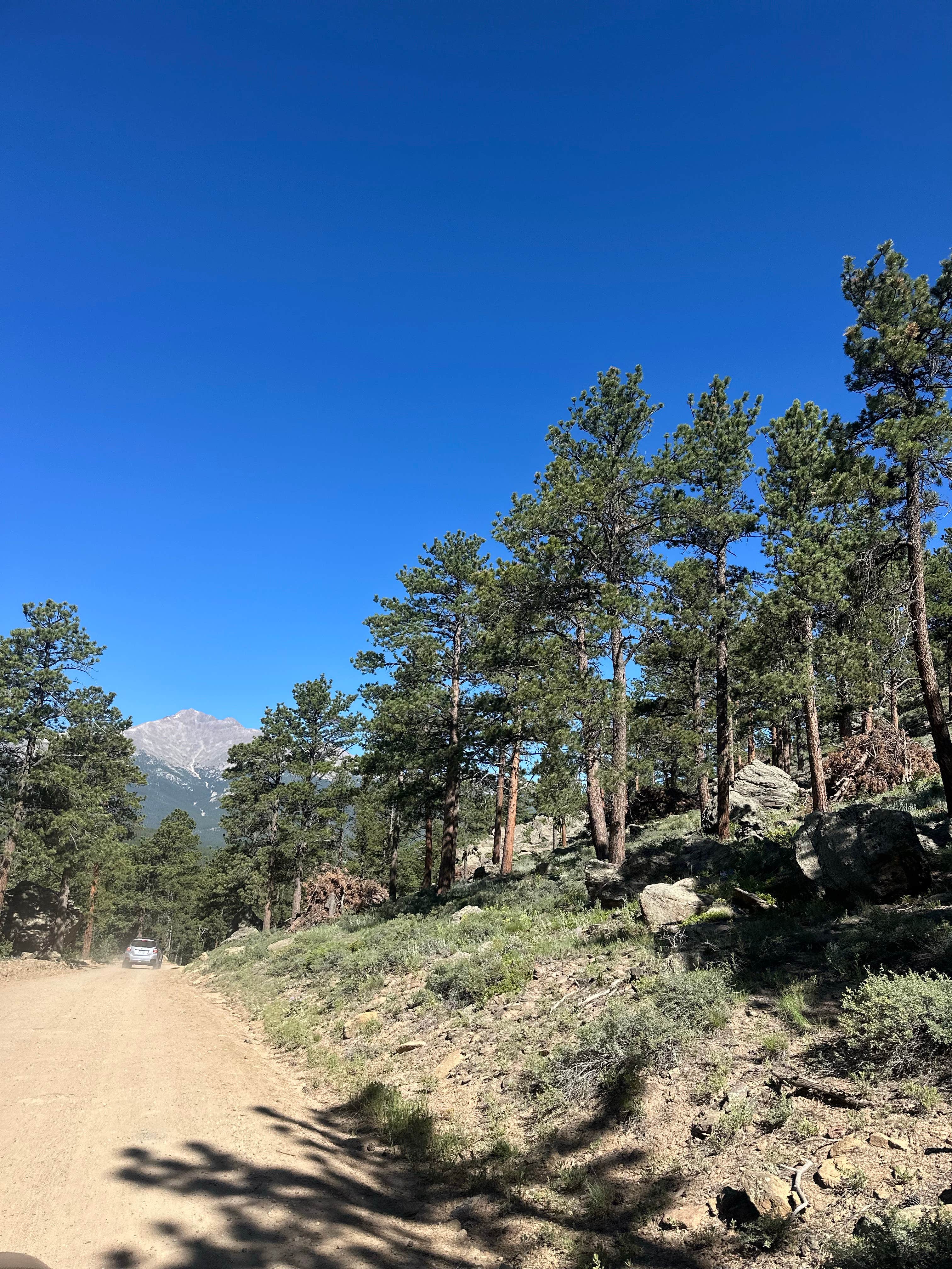Camper-submitted photo at Johnny Park Road Camping near Estes Park, CO