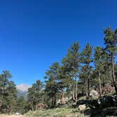 Review photo of Johnny Park Road Camping by Madeline O., June 26, 2025