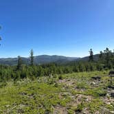 Review photo of Johnny Park Road Camping by Madeline O., June 26, 2025