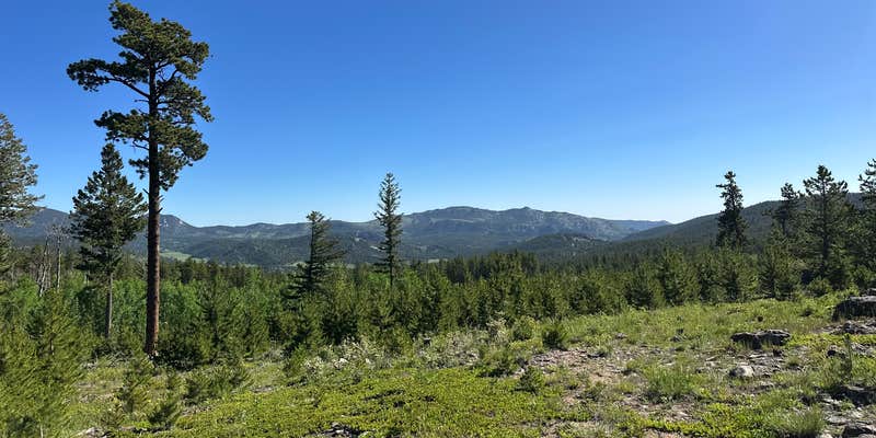 Camper submitted image from Johnny Park Road Camping