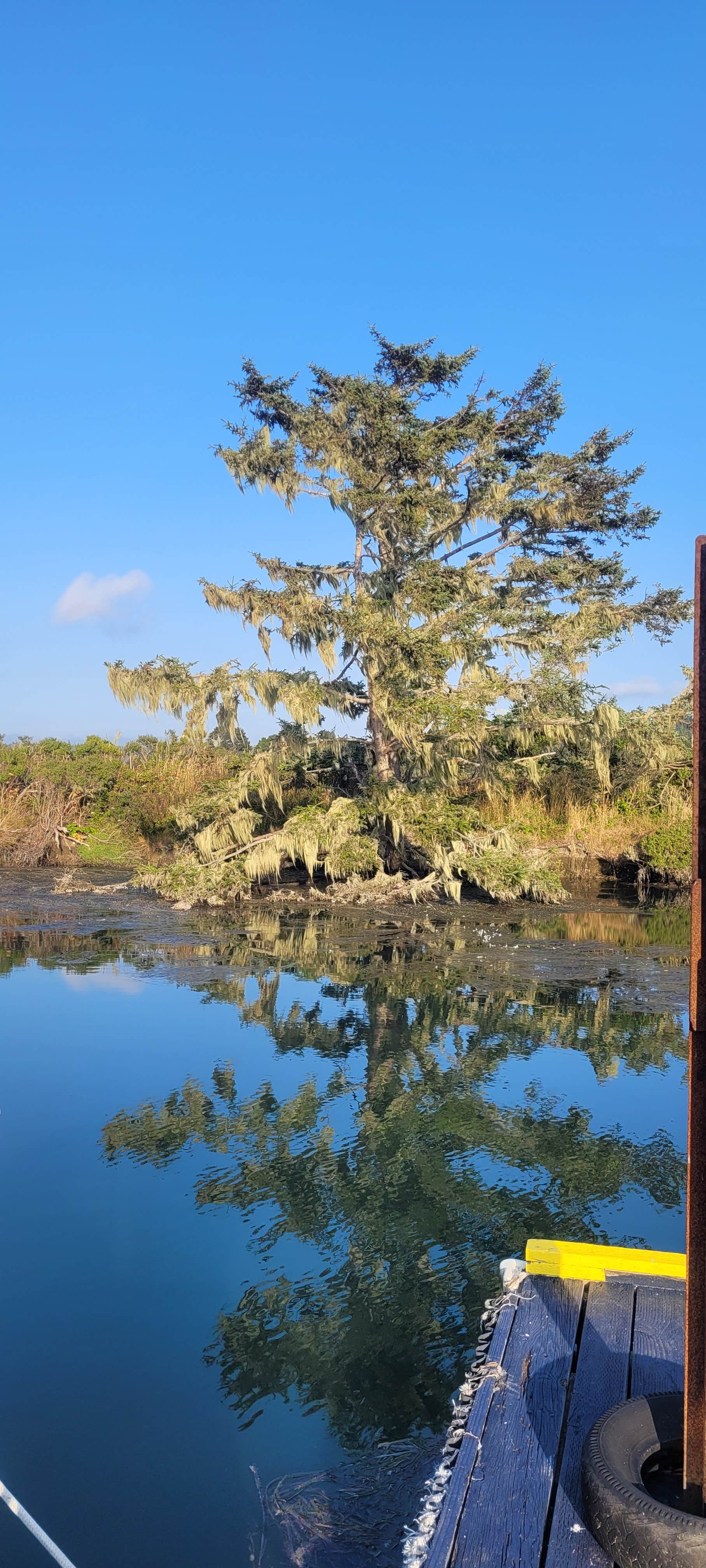 Camper-submitted photo at Johnny's At The Beach near Loleta, CA