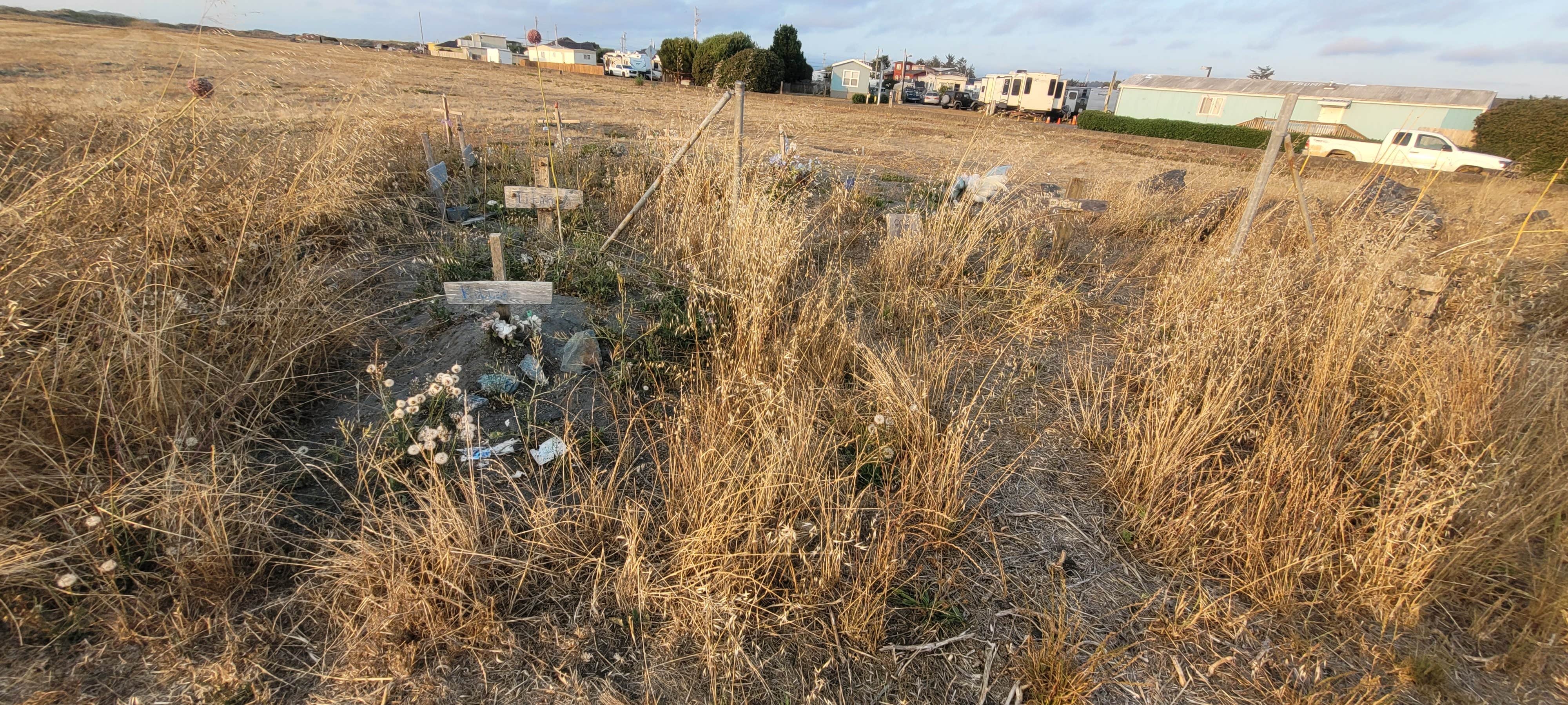 Camper-submitted photo at Johnny's At The Beach near Loleta, CA
