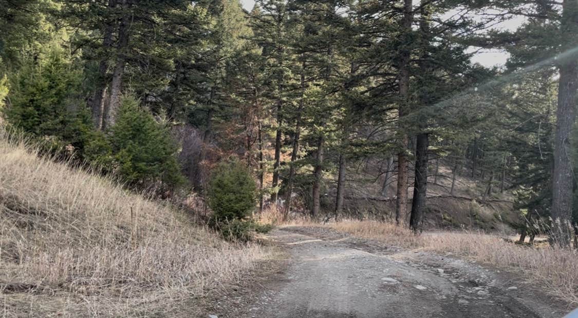 Camping near Mountain Log Home: Johnson Canyon Primative Campsite, Belgrade, Montana