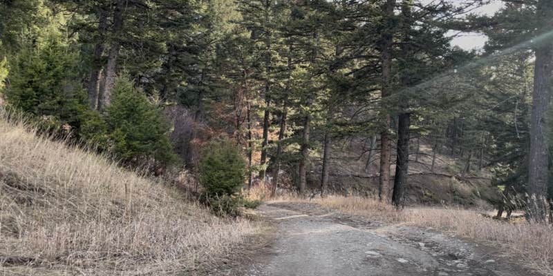 Camper submitted image from Johnson Canyon Primative Campsite