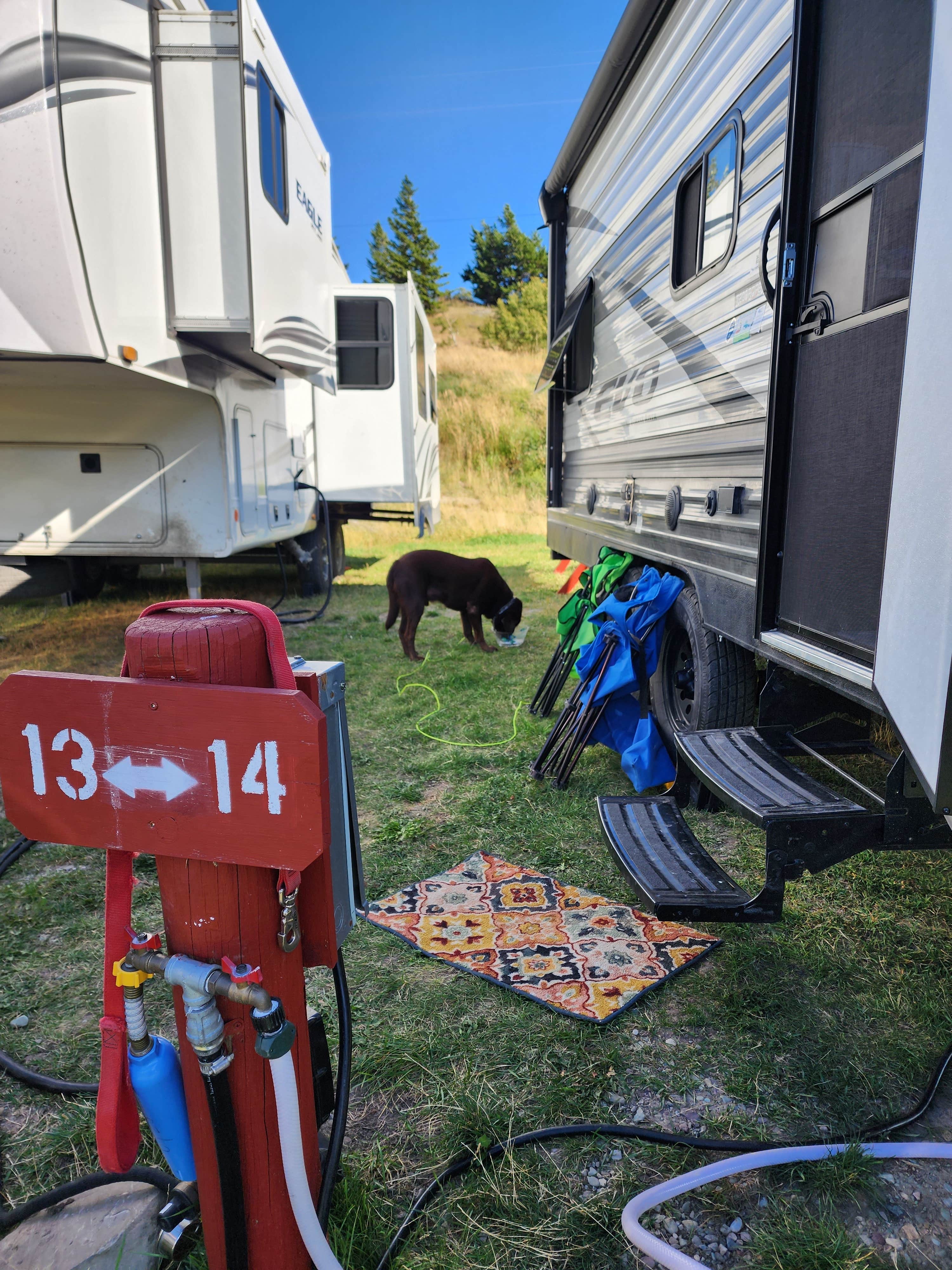 Susan's photo of camping with pets at Johnson's Campground & RV Park near Babb, MT