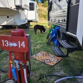 Review photo of Johnson's Campground & RV Park by Susan , September 22, 2023