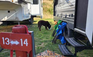 Susan's photo of camping with pets at Johnson's Campground & RV Park near Glacier National Park