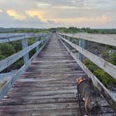 Review photo of Pine Grove Campground — Jonathan Dickinson State Park by Thomas B., July 21, 2026