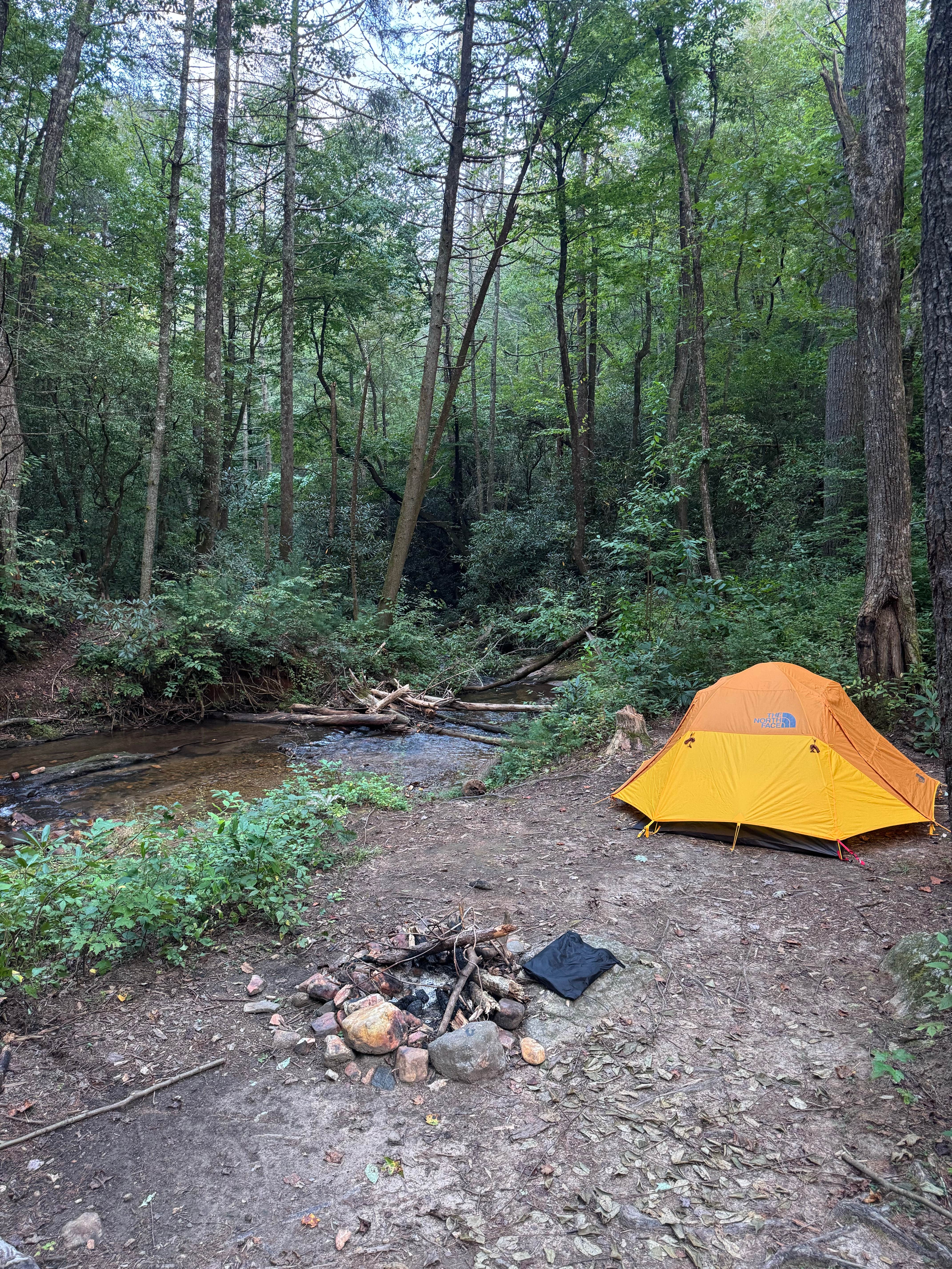 Camping near Lance Creek Campsite: Jones Creek Campground, Suches, Georgia