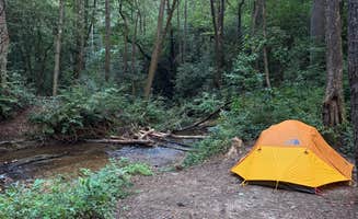 Noah W.'s photo at Jones Creek Campground near Nelson, GA