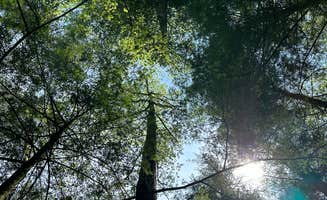Billie P.'s photo of a dispersed camping area at Jones Creek Dispersed Campground near Lawrenceville, GA