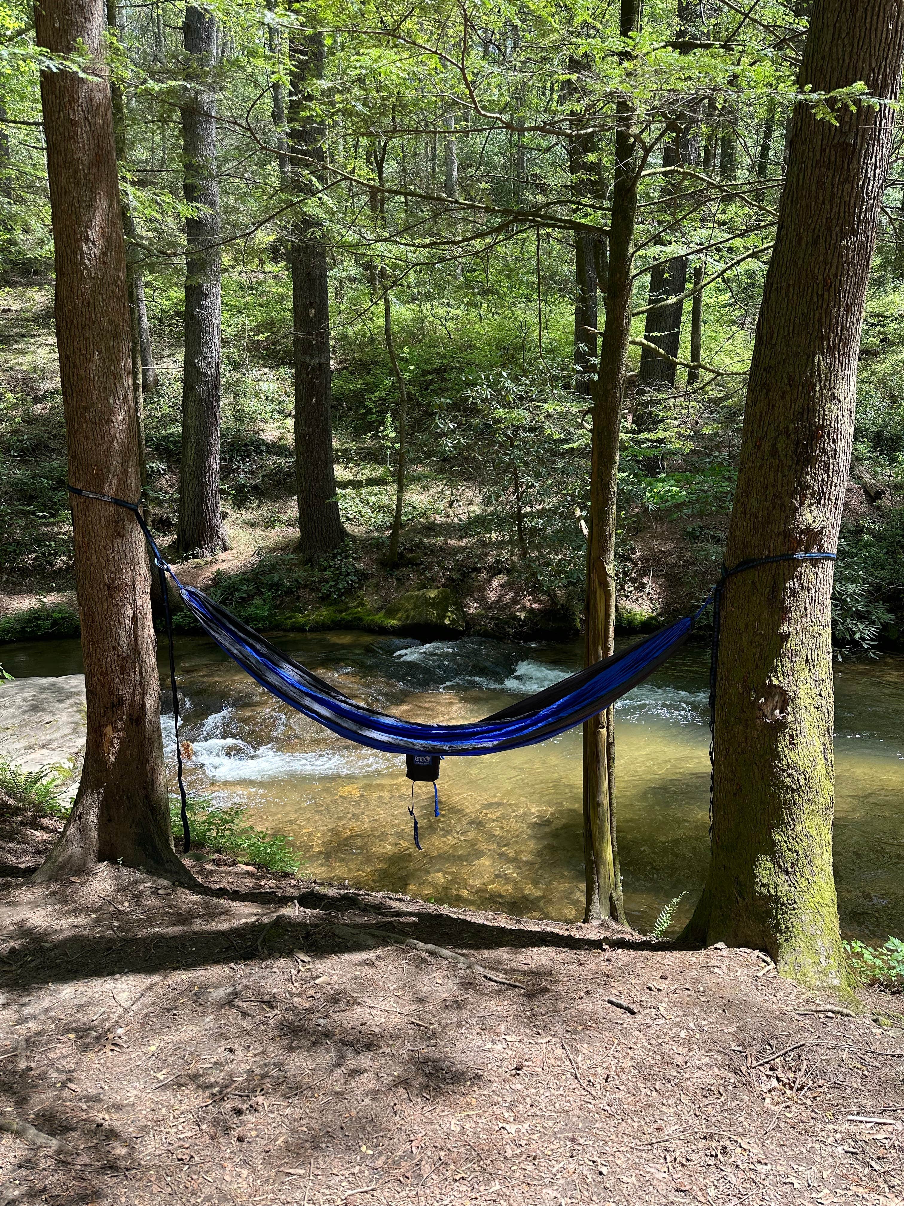 Camper-submitted photo at Jones Creek Dispersed Campground near Lake Sidney Lanier
