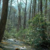 Review photo of Jones Creek Dispersed Campground by Leah S., March 31, 2026