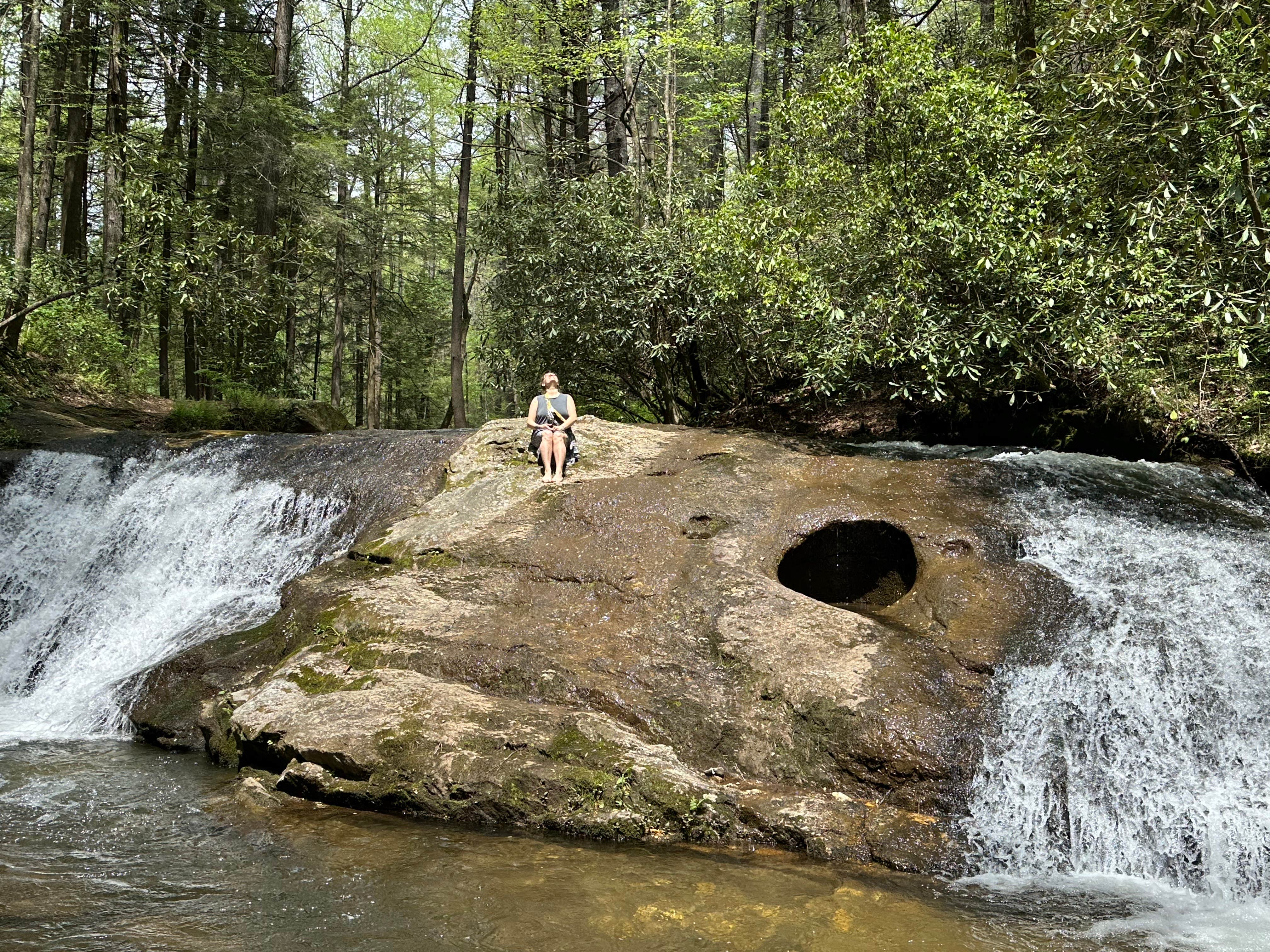Camper submitted image from Jones Creek Dispersed Campground - 4